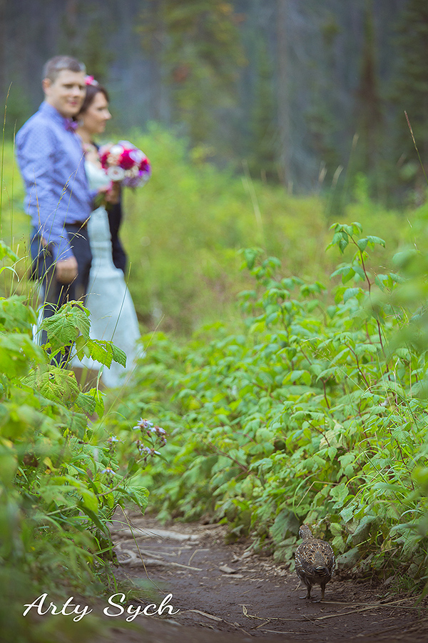 Dima & Lyna  Calgary wedding photography_arty_films_arty_sych_1