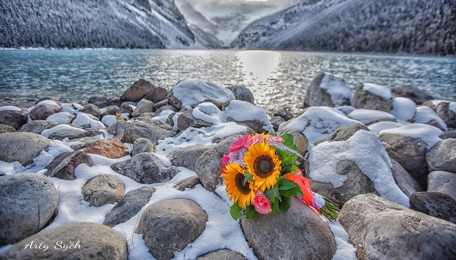 Calgary Edmonton wedding photography_arty_films_arty_sych_